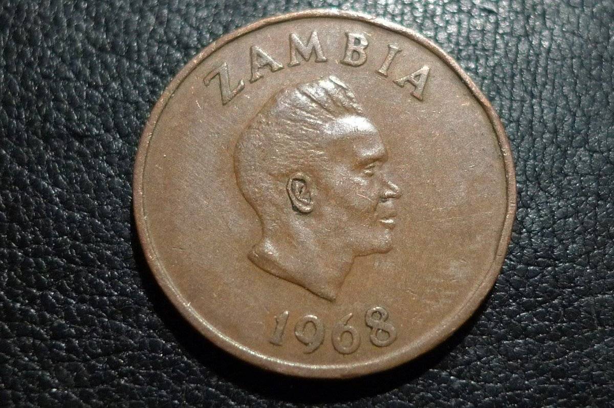 Post-Your-Coins-Representing-The-Animal-Kingdom.