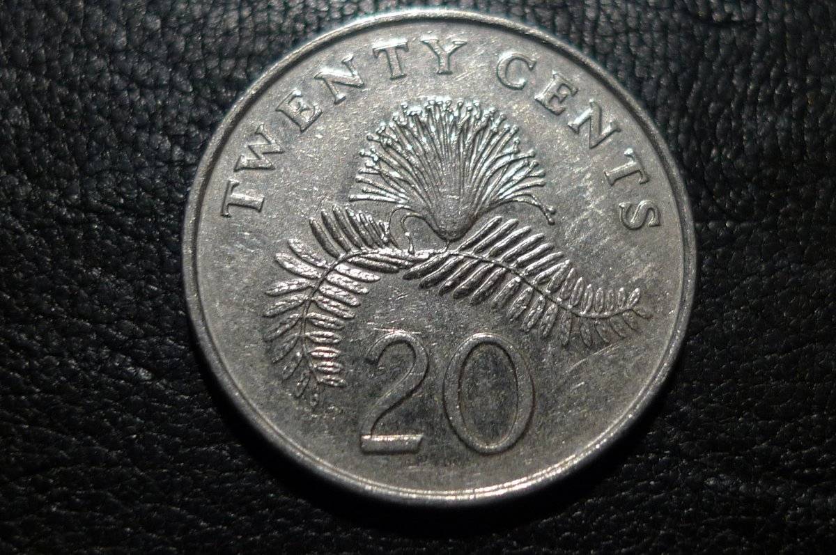 Post-Your-Lion-Coins!