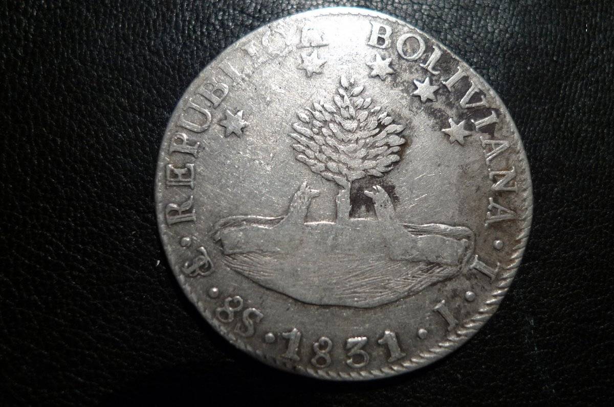 Post-Your-Coins-Representing-The-Animal-Kingdom.
