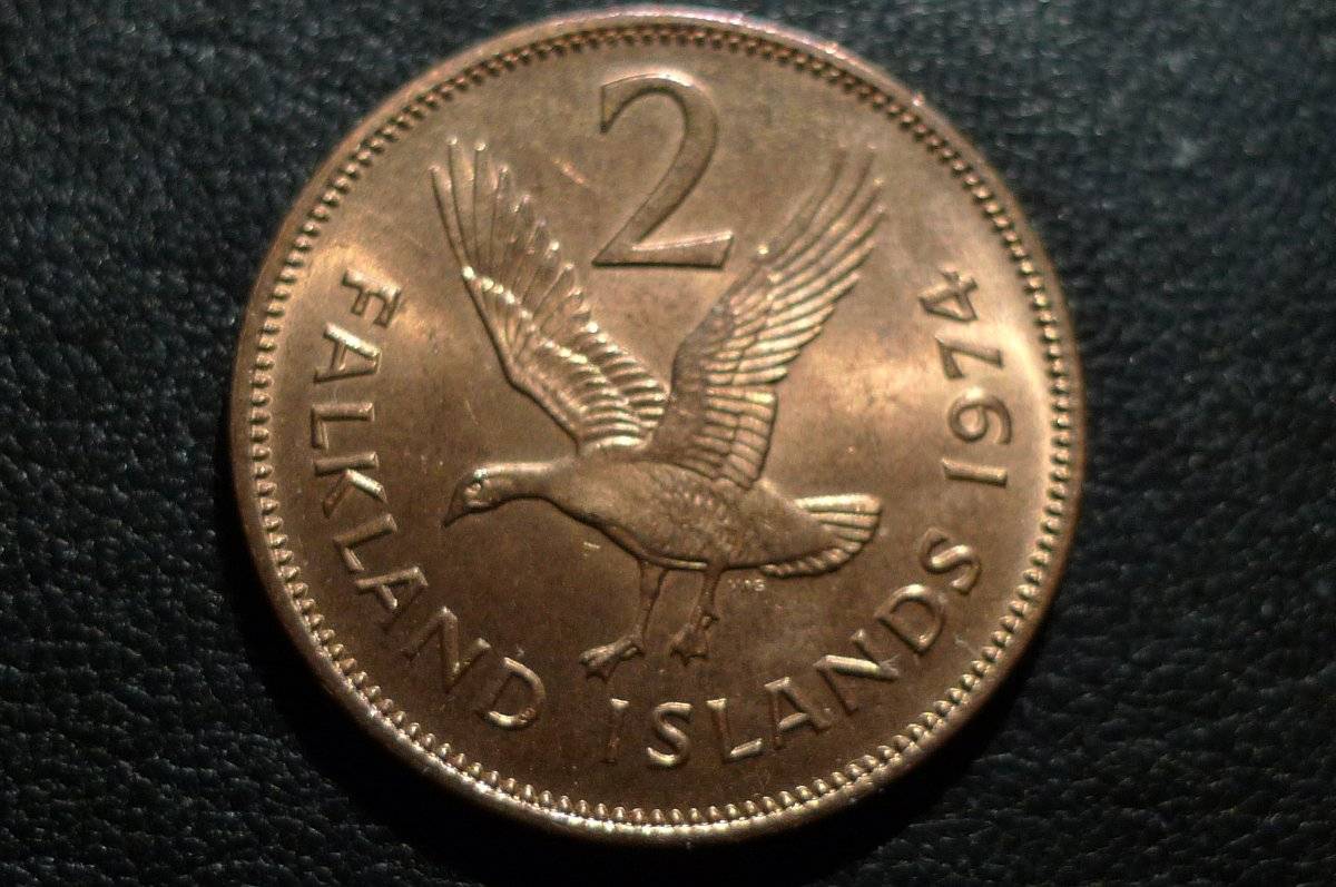 Post-Your-Coins-With-Hats