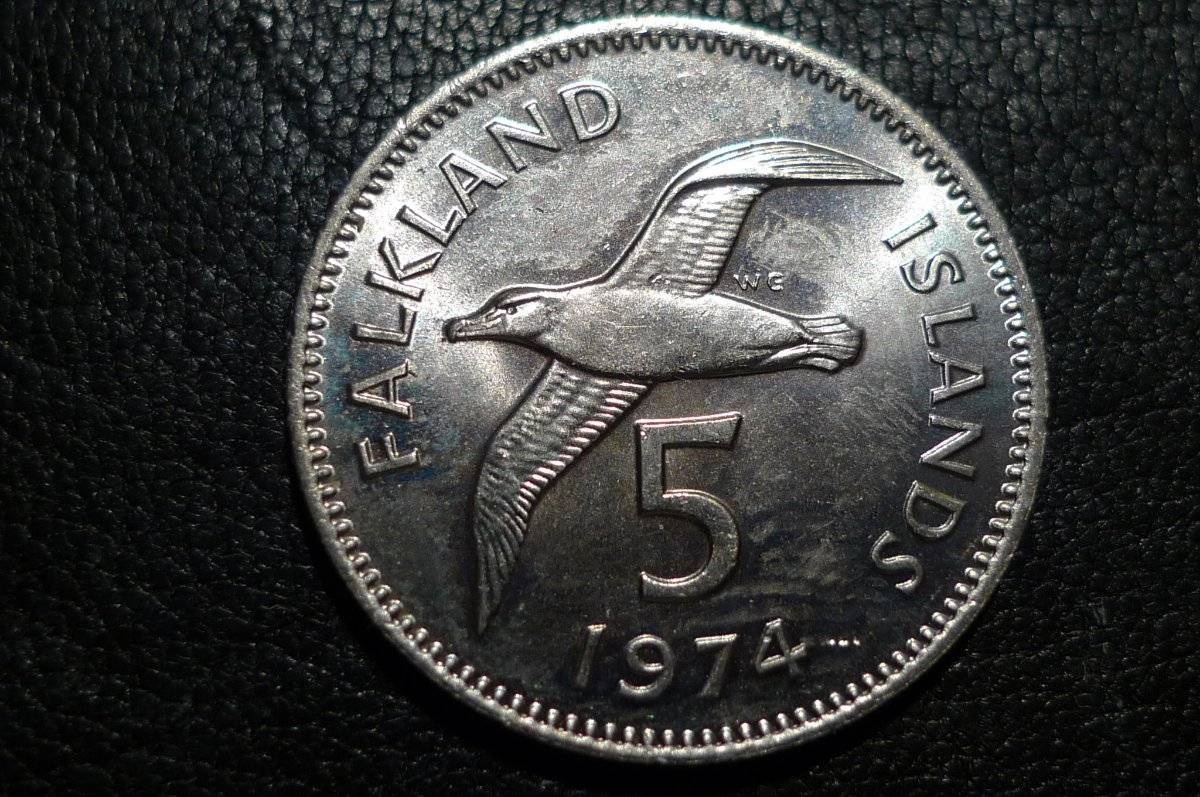 Post-Your-Coins-With-Hats