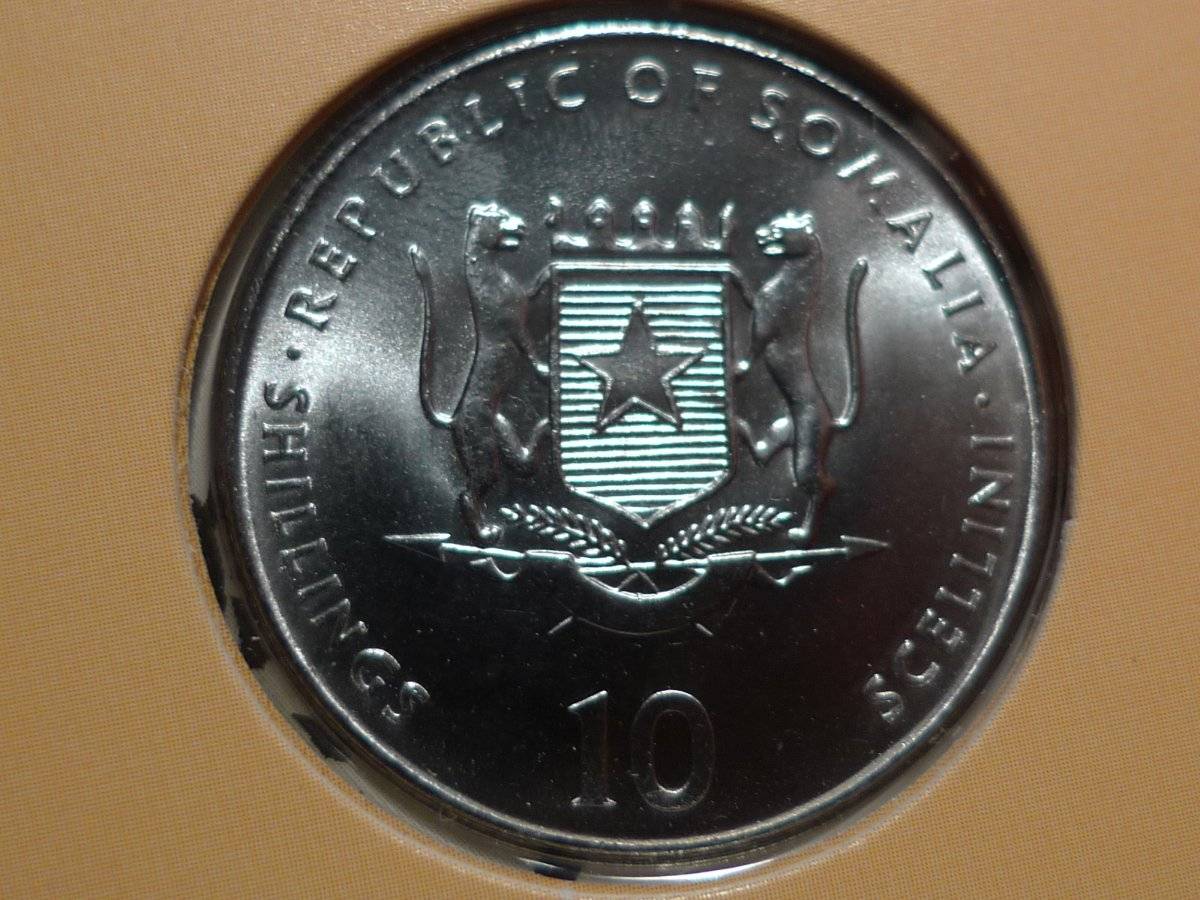 Post-Your-Coins-With-Horses