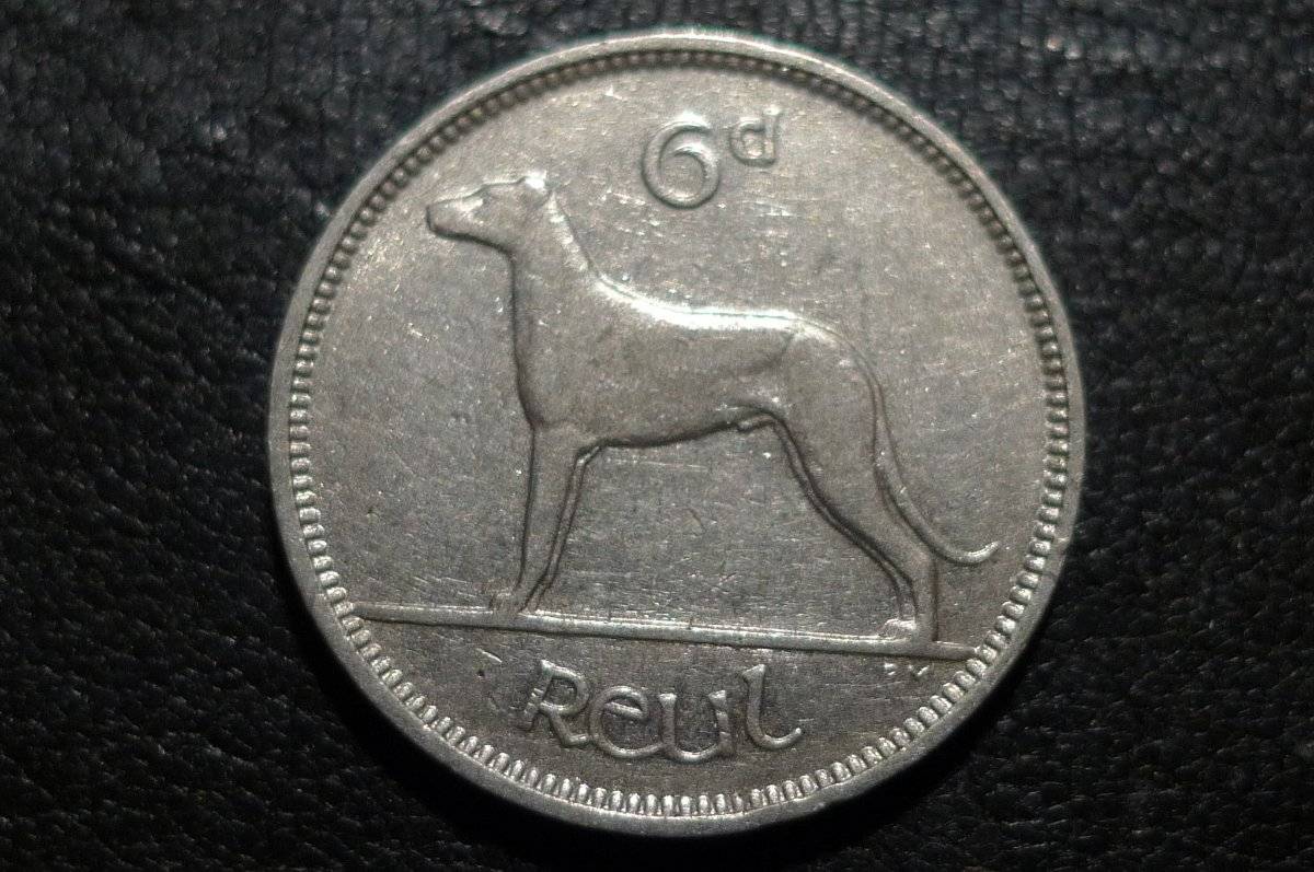 Post-Your-Coins-Representing-The-Animal-Kingdom.