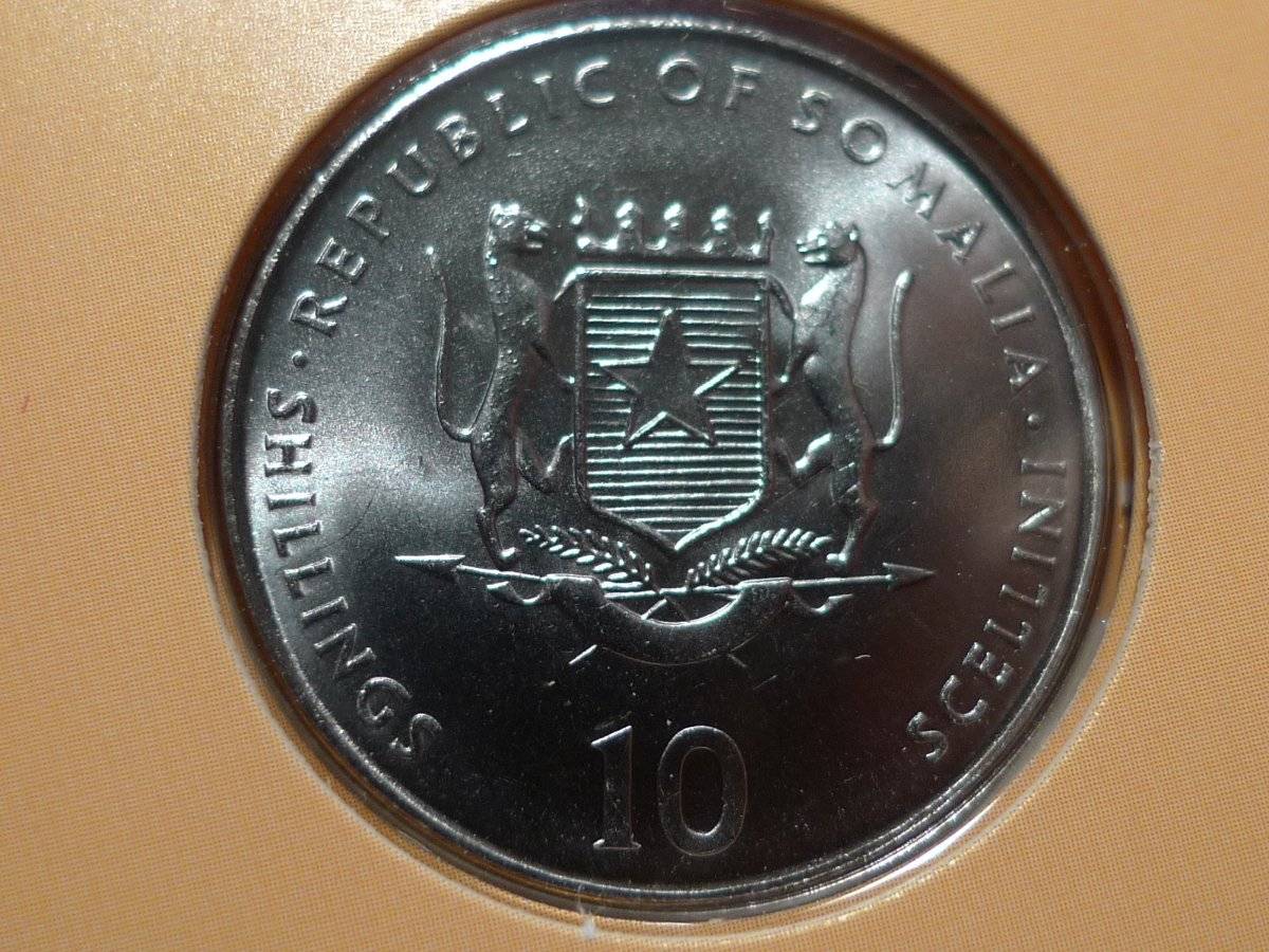 Post-Your-Coins-Representing-The-Animal-Kingdom.