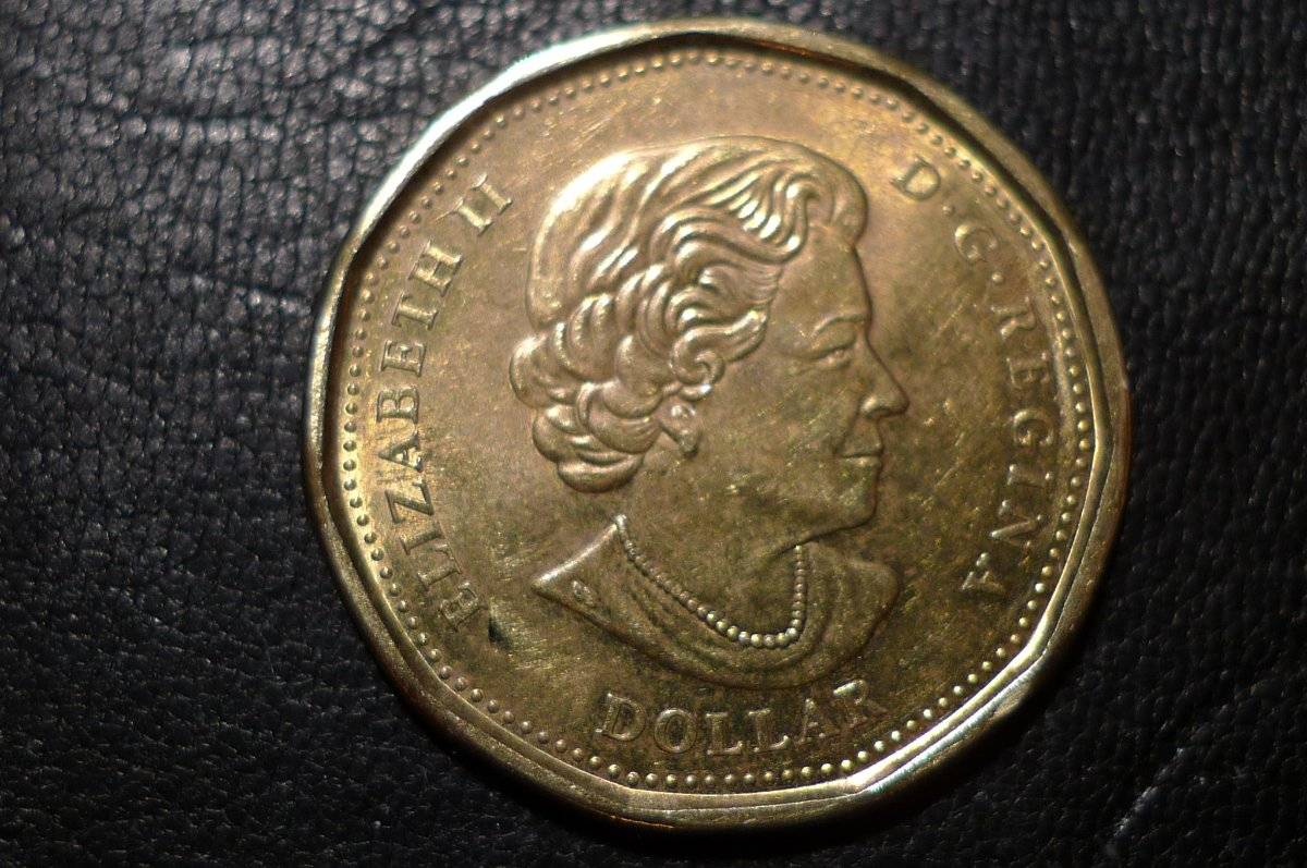 Post-Your-Coins-Representing-The-Animal-Kingdom.