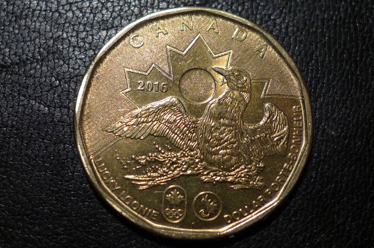 Post-Your-Coins-Representing-The-Animal-Kingdom.