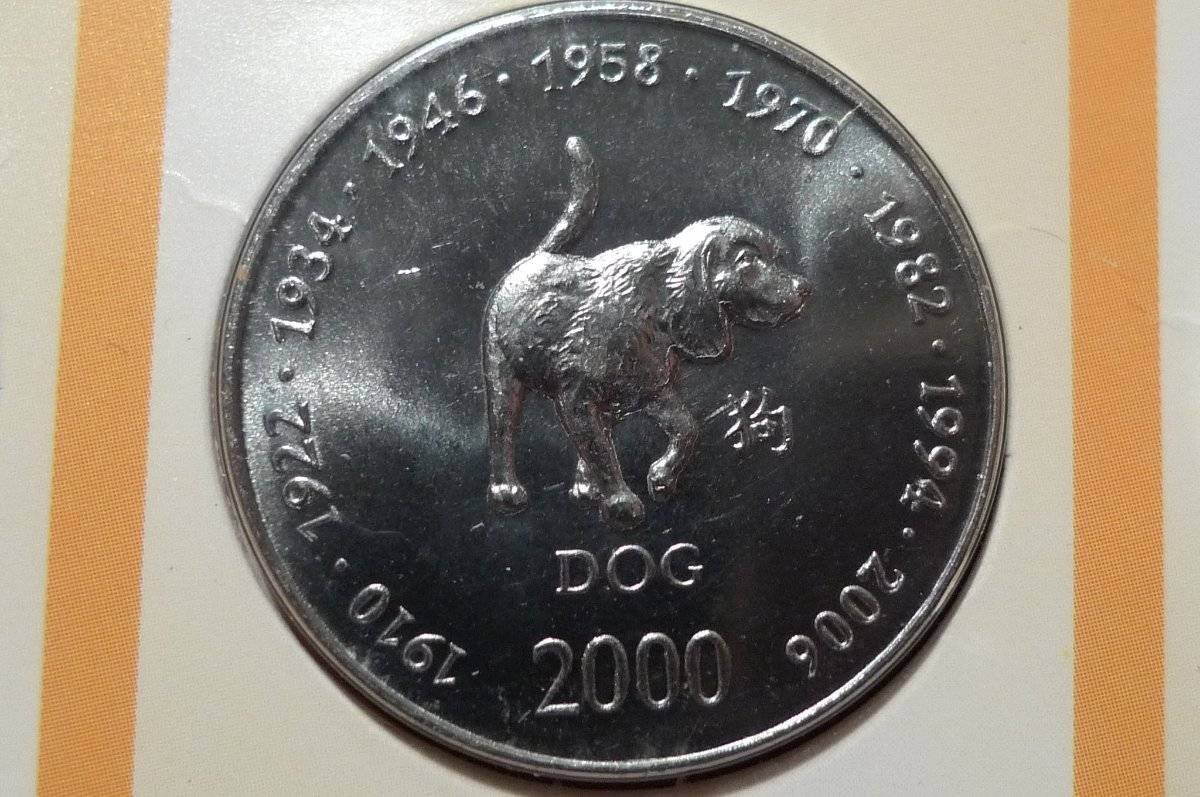 Post-Your-Coins-Representing-The-Animal-Kingdom.