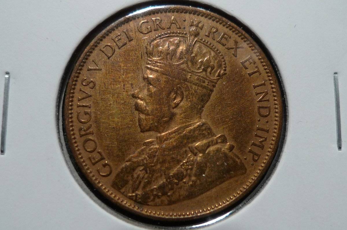 Anyone-Wood-Grain-Toning-Collectors?---Post-Yours!