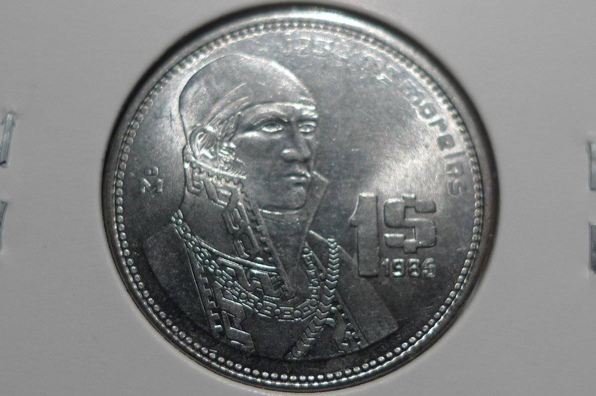 Post-Your-Coins-Representing-The-Animal-Kingdom.