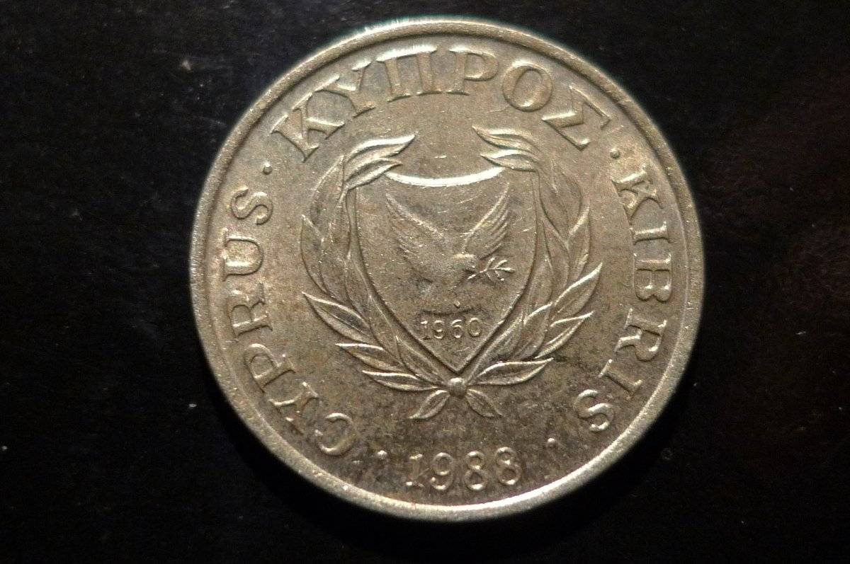 Post-Your-Coins-Representing-The-Animal-Kingdom.