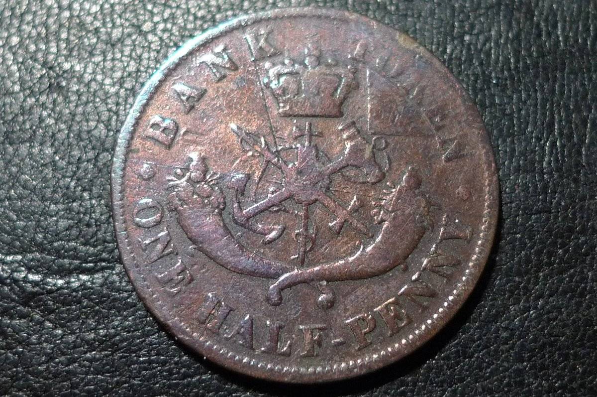 Post-Your-Coins-Representing-The-Animal-Kingdom.