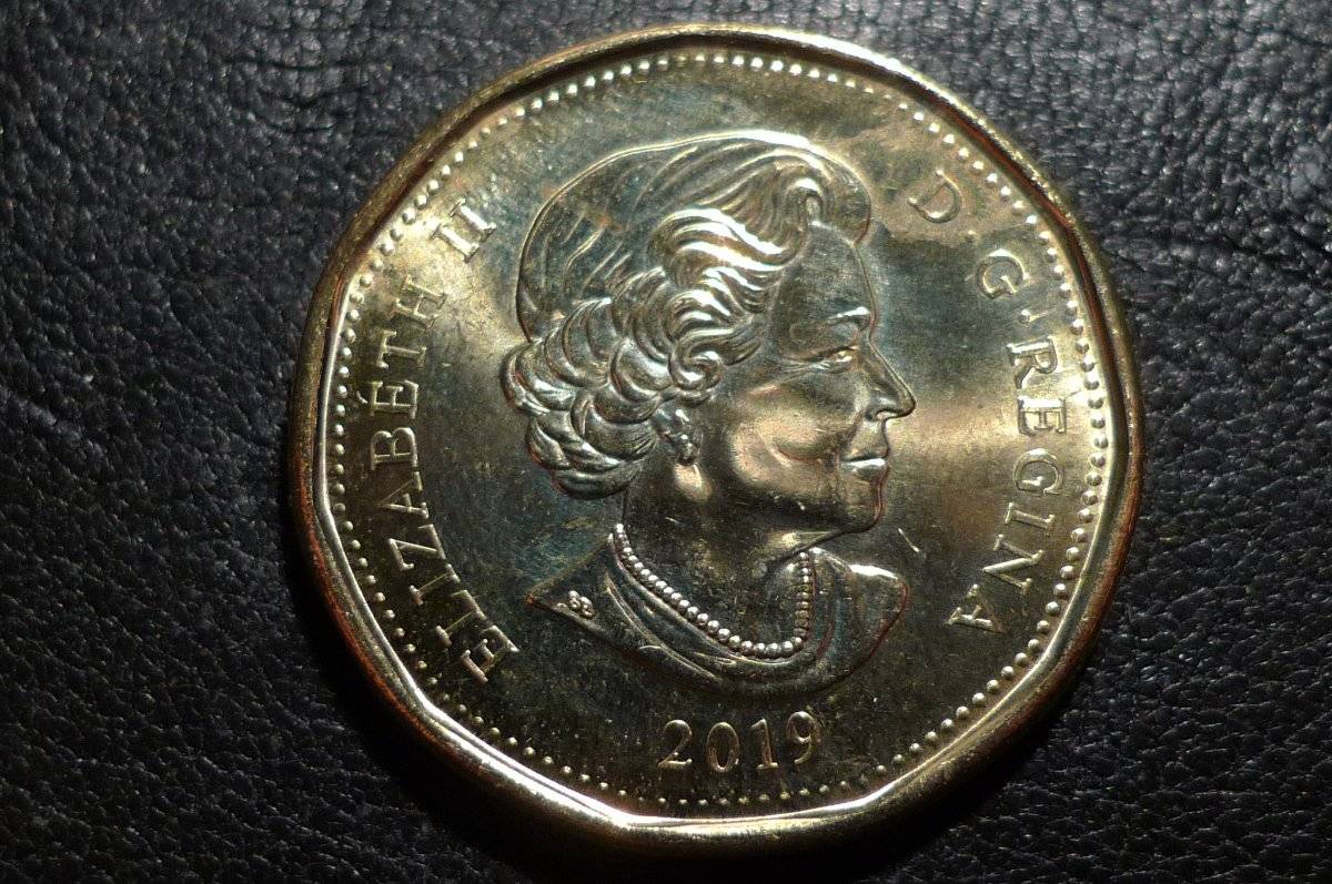 Post-Your-Coins-Representing-The-Animal-Kingdom.