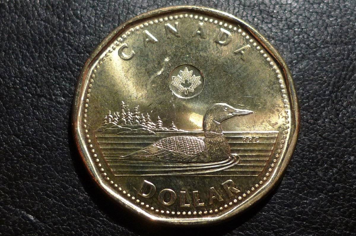 Post-Your-Coins-Representing-The-Animal-Kingdom.