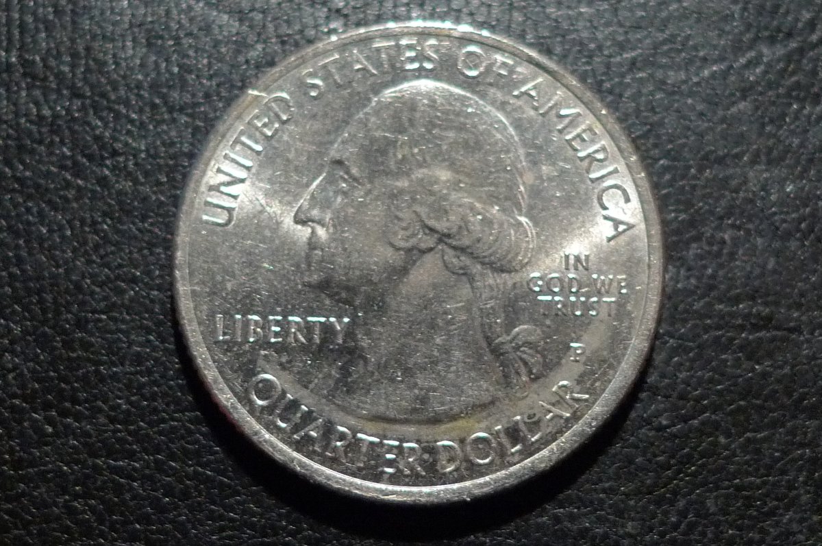 Post-Your-Coins-Representing-The-Animal-Kingdom.