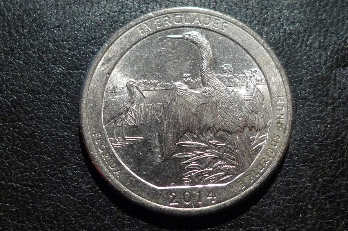 Post-Your-Coins-Representing-The-Animal-Kingdom.