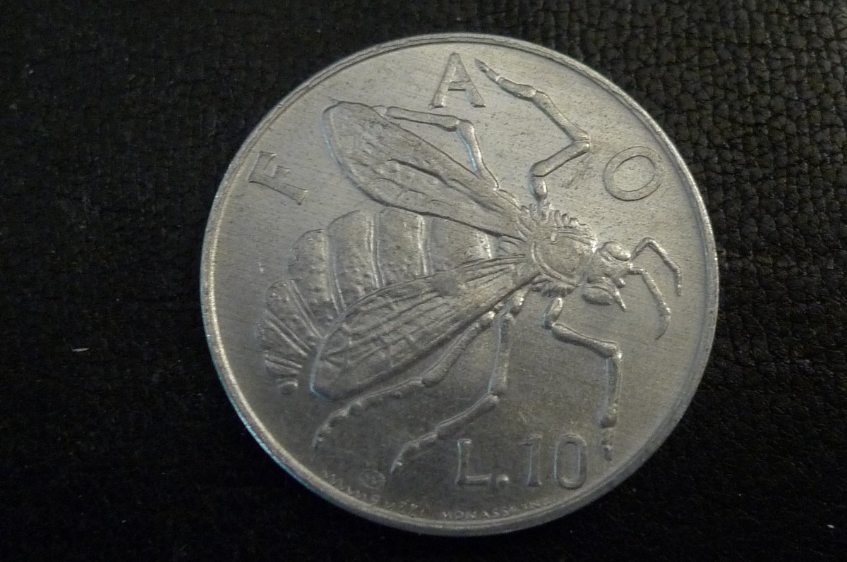 Post-Your-Coins-Depicting-Insects
