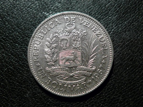 Post-Your-Coins-With-Horses