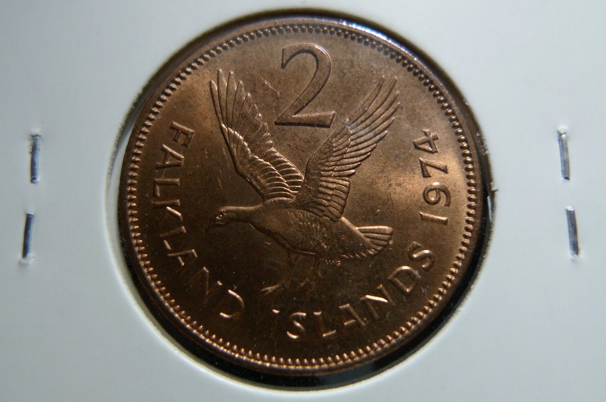 Post-Your-Coins-Representing-The-Animal-Kingdom.