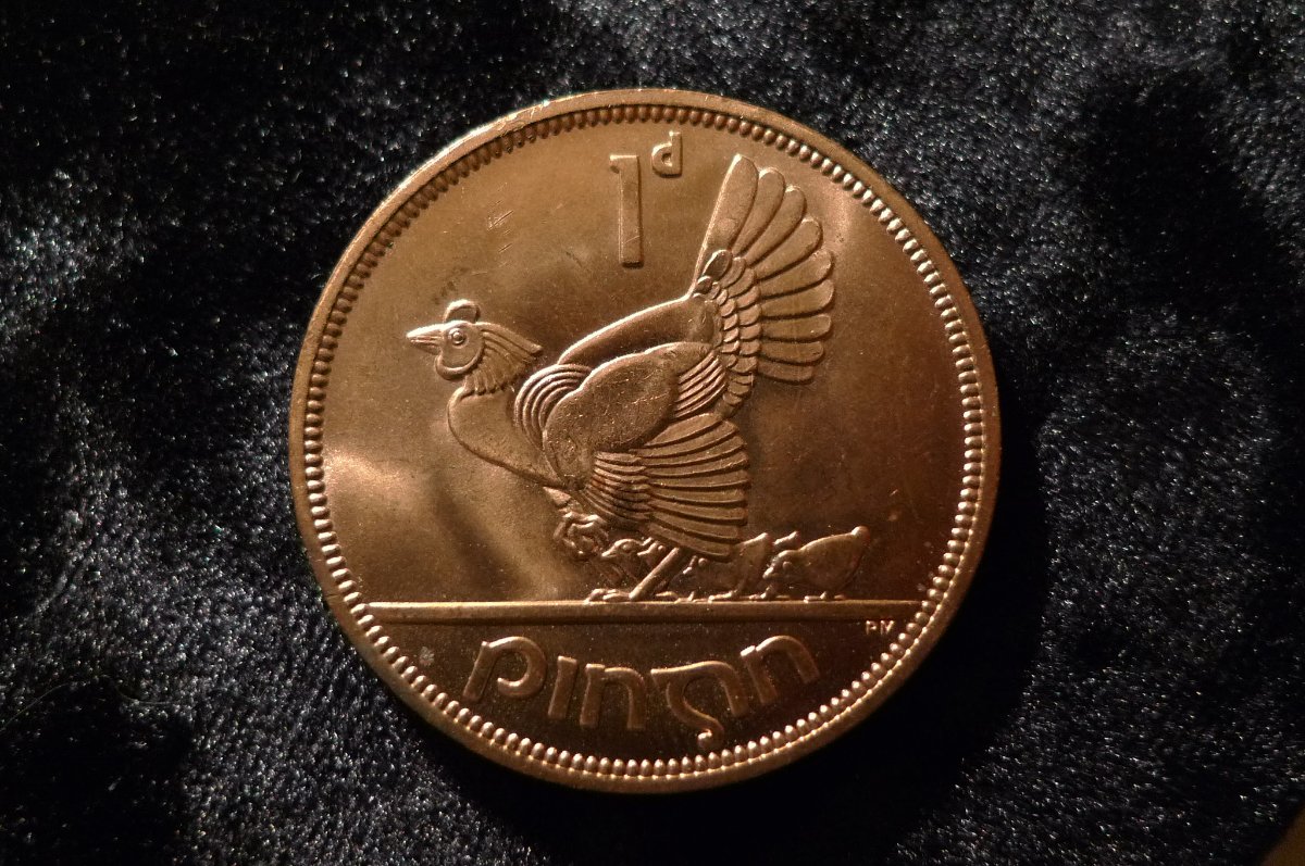 Post-Your-Coins-Representing-The-Animal-Kingdom.