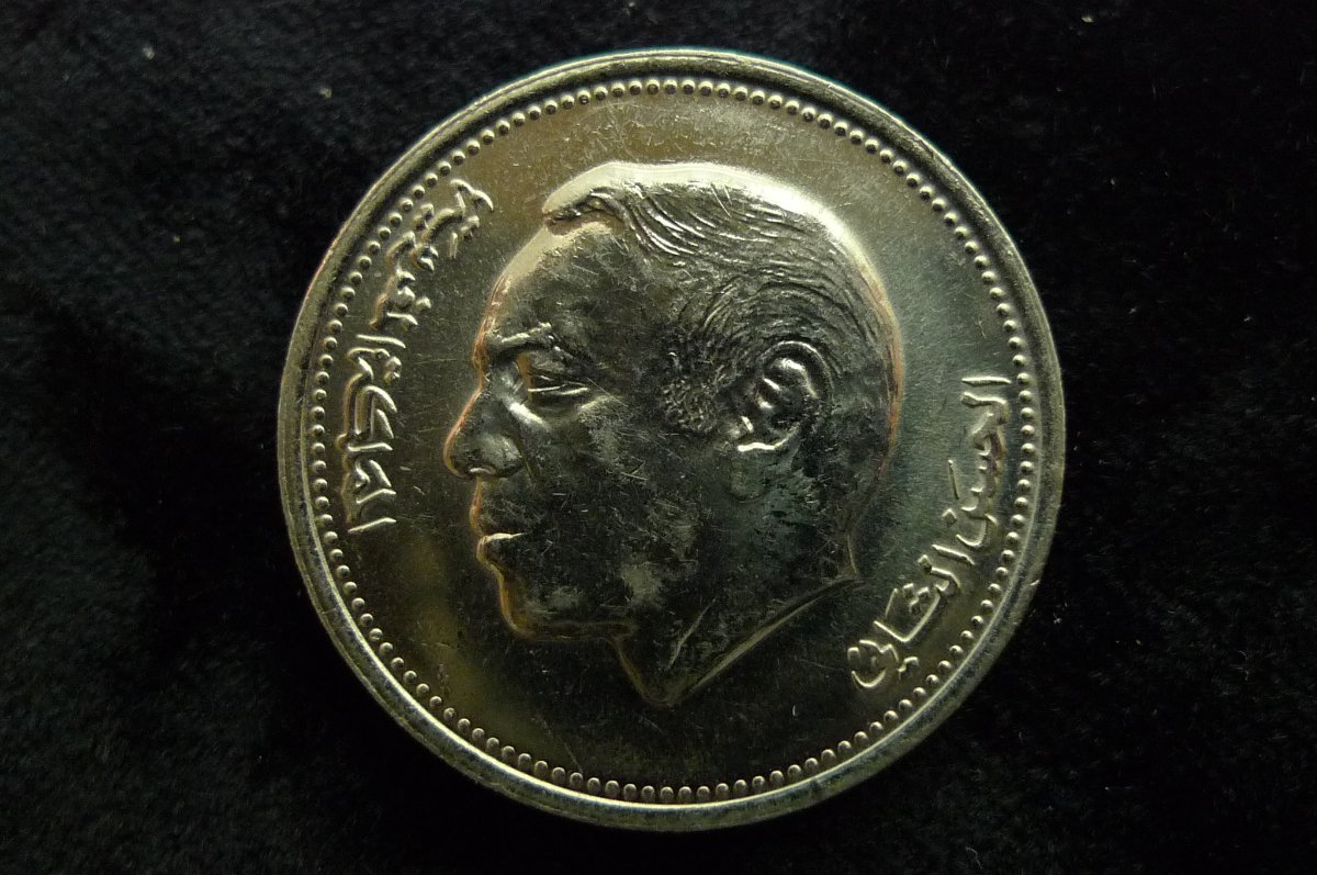 Post-Your-Lion-Coins!
