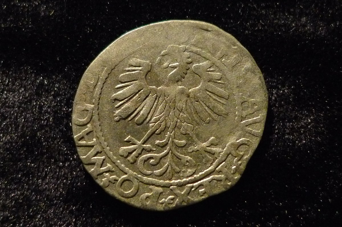 Post-Your-Coins-With-Horses