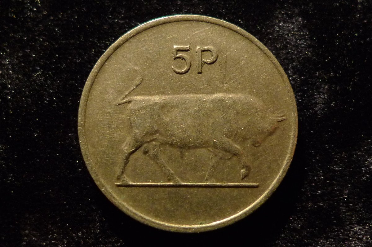 Post-Your-Coins-Representing-The-Animal-Kingdom.
