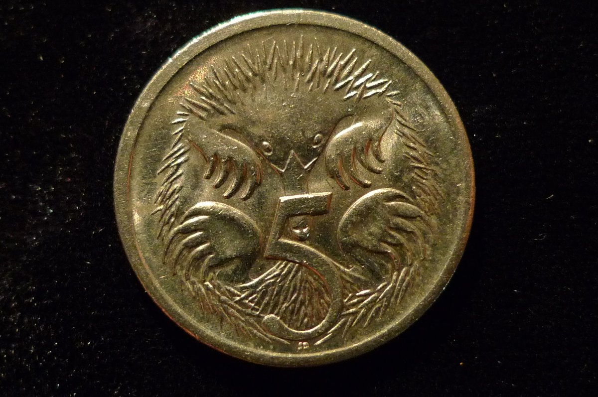 Post-Your-Coins-With-Hats