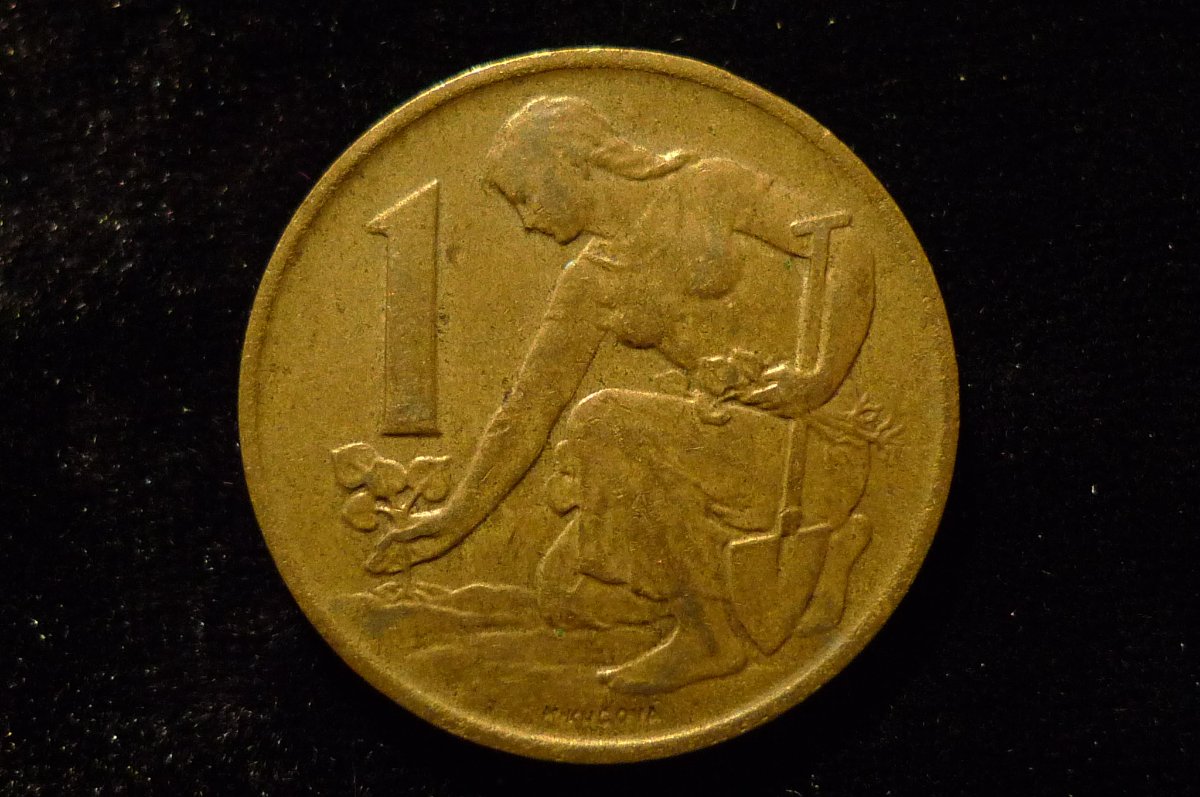 Post-Your-Lion-Coins!