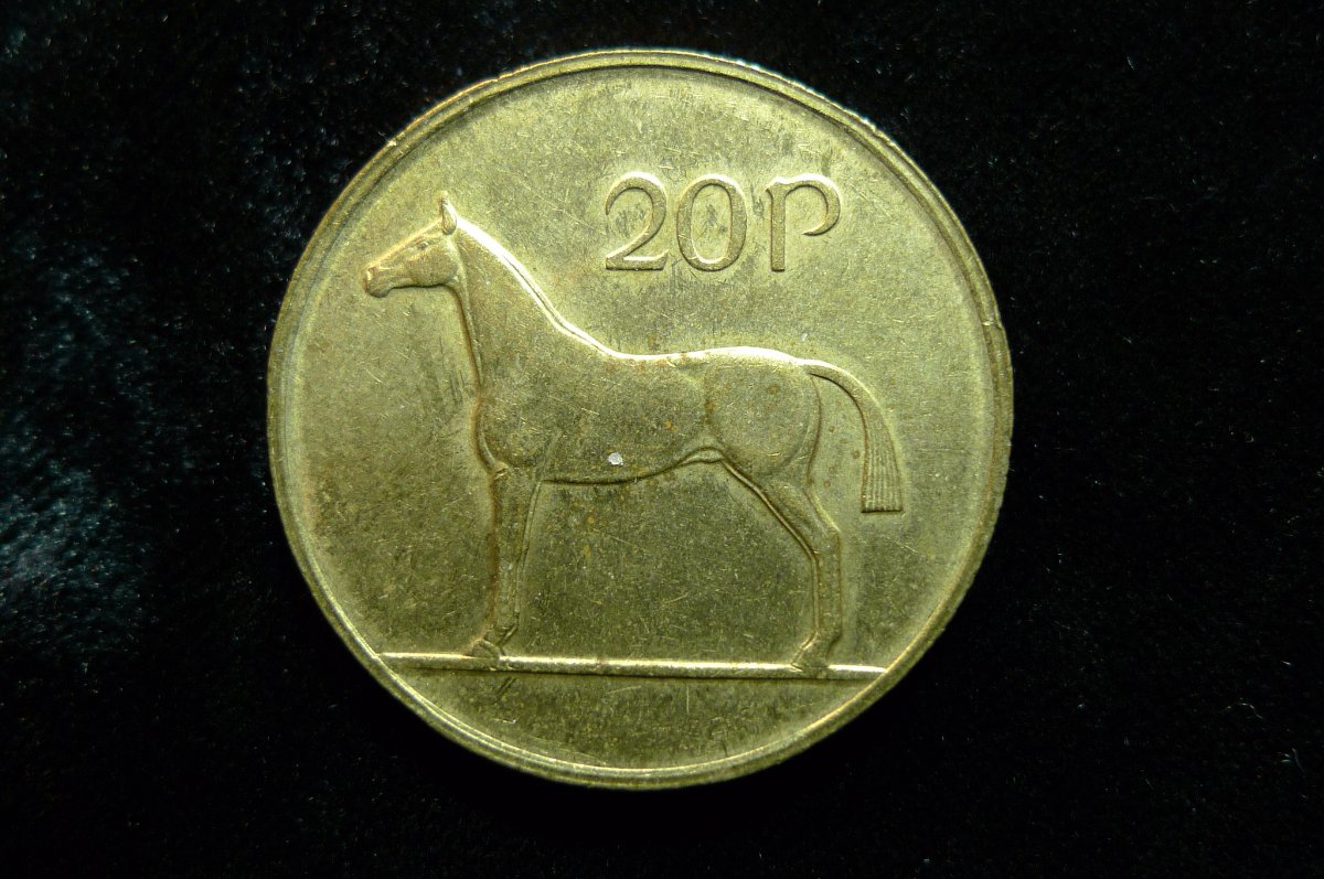 Post-Your-Coins-With-Horses