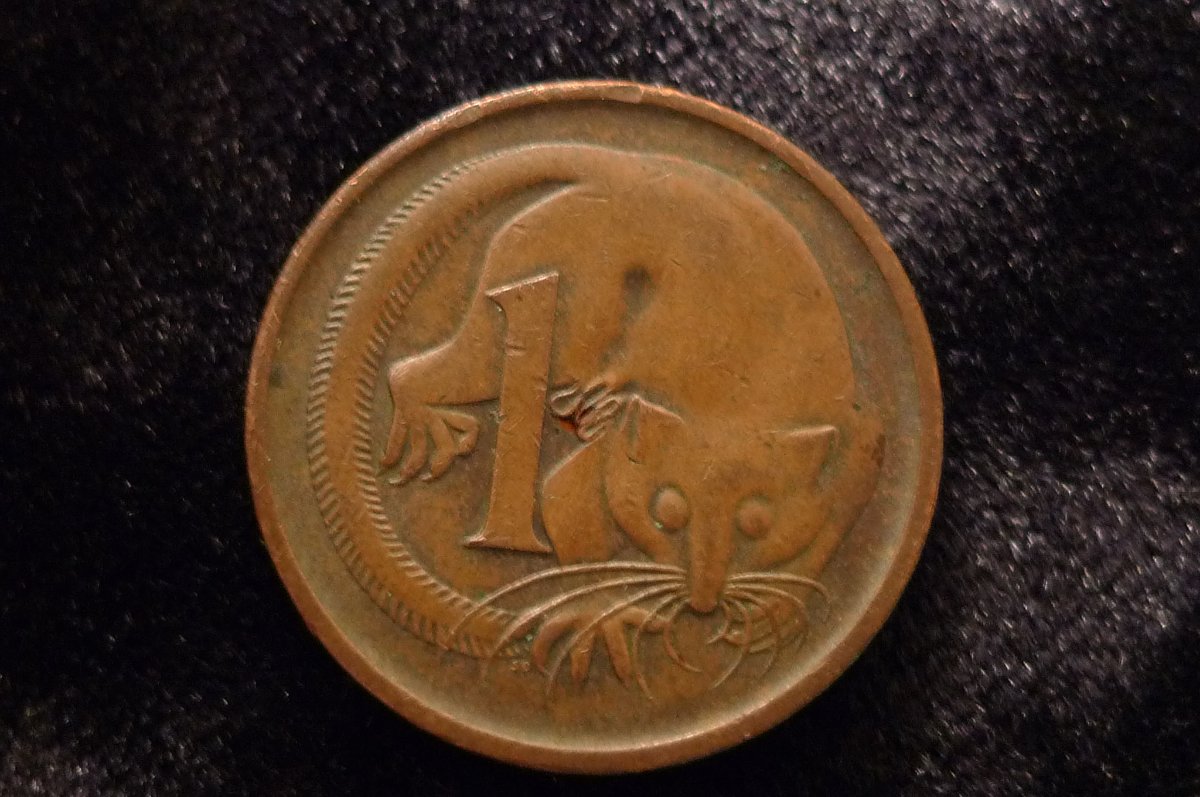 Post-Your-Coins-Representing-The-Animal-Kingdom.