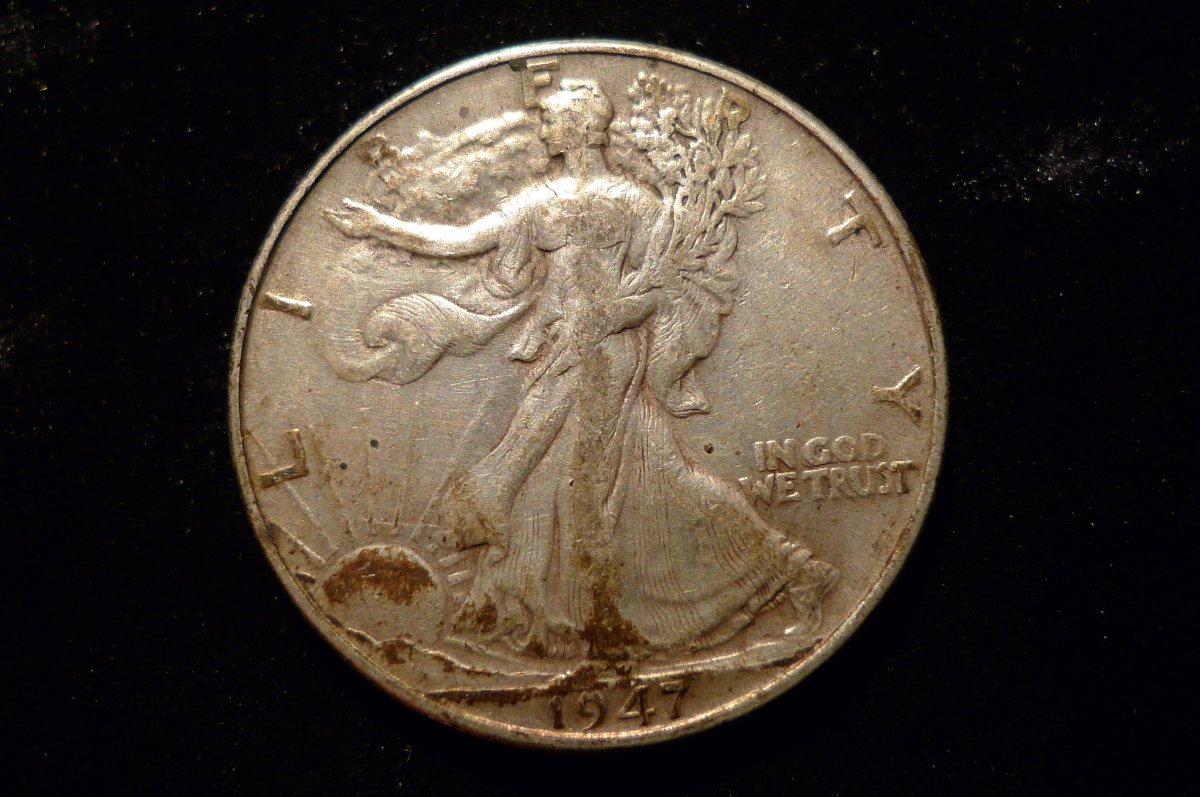 Post-Your-Coins-Representing-The-Animal-Kingdom.
