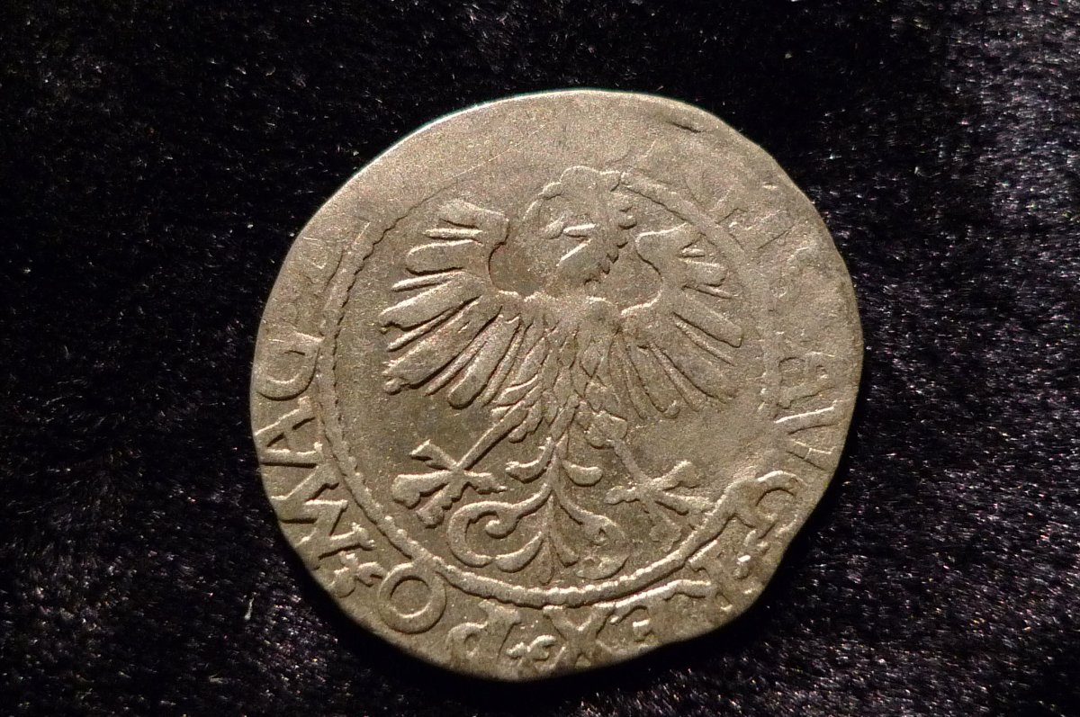 Post-Your-Coins-With-Horses