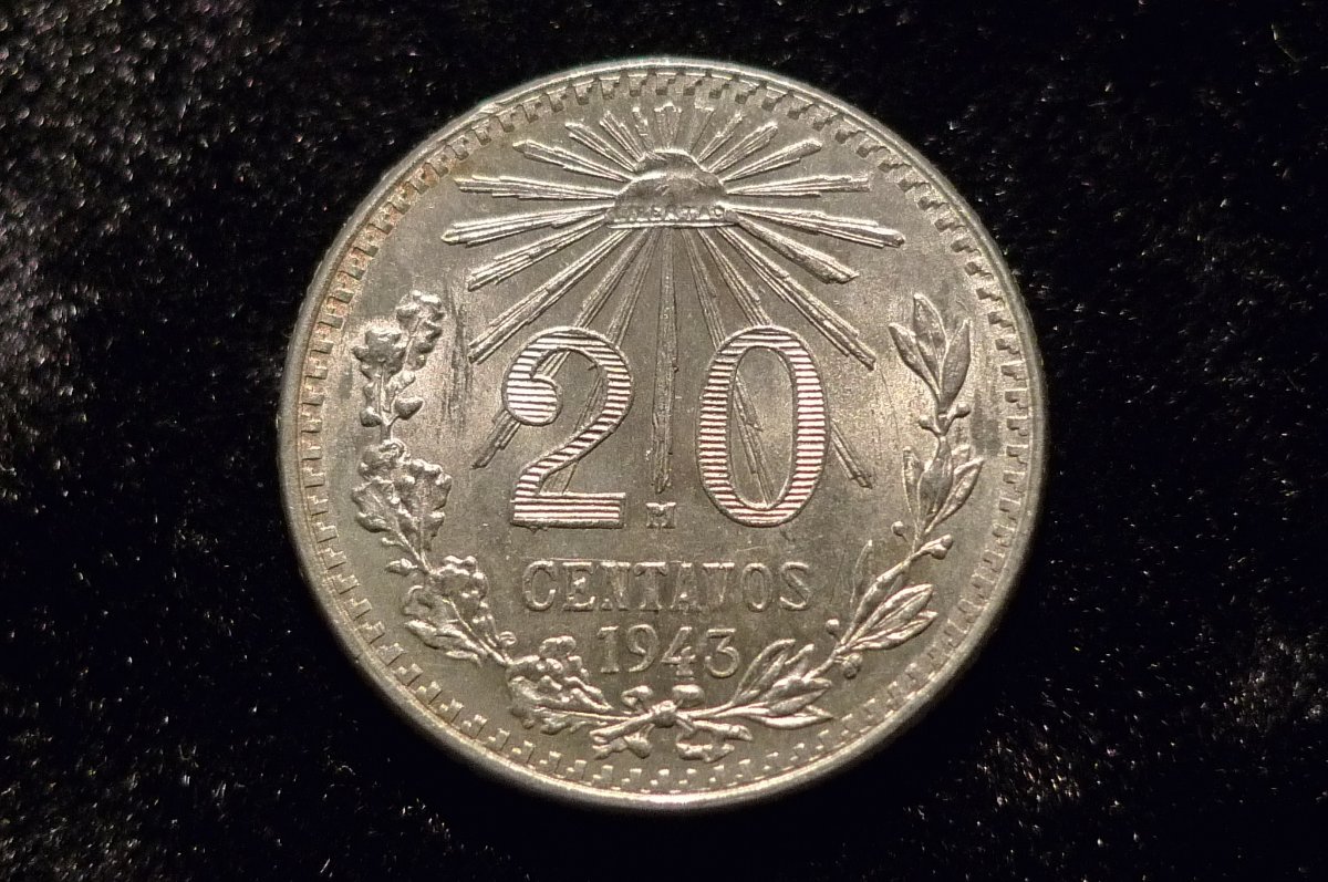 Post-Your-Coins-Representing-The-Animal-Kingdom.