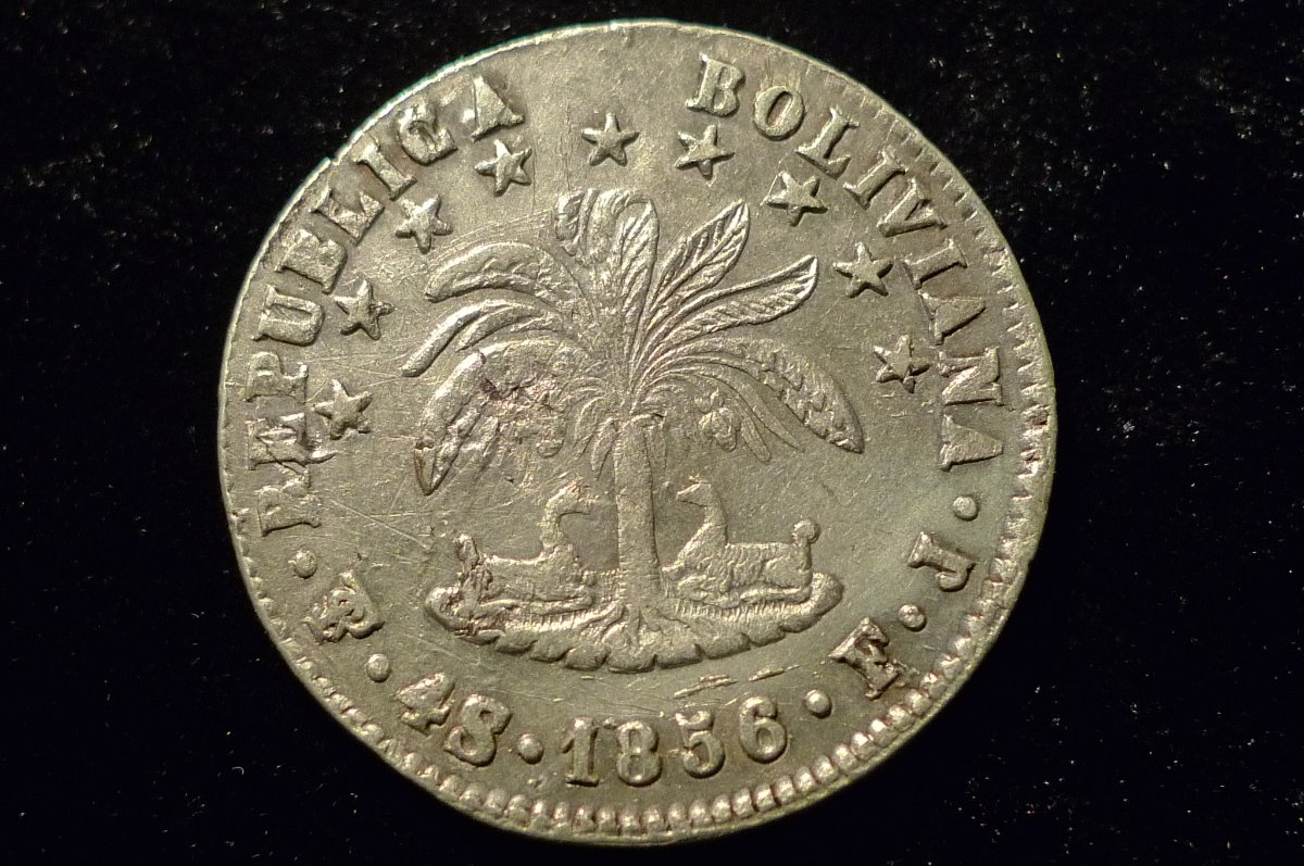 Post-Your-Coins-And-Medals-With-Trees