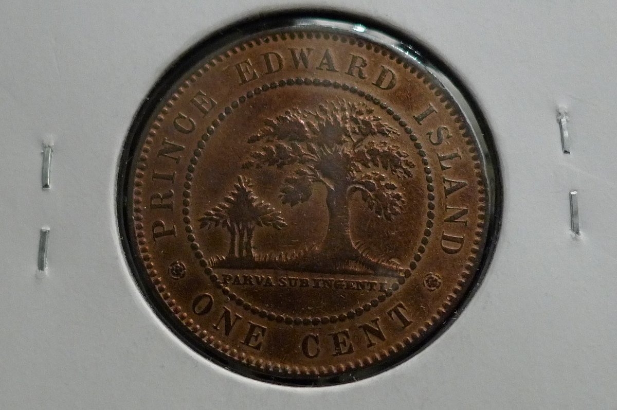 Post-Your-Coins-And-Medals-With-Trees