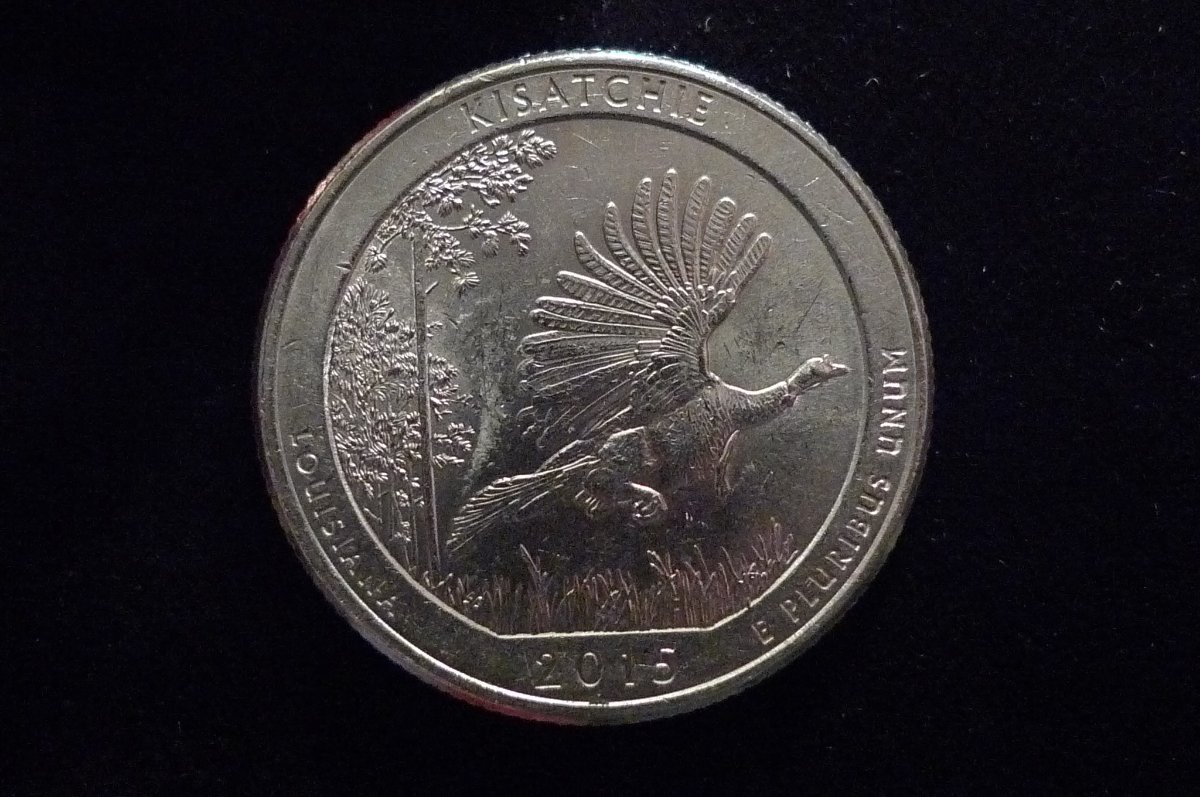 Post-Your-Coins-Representing-The-Animal-Kingdom.