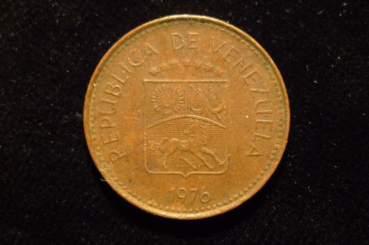 Post-Your-Coins-With-Horses