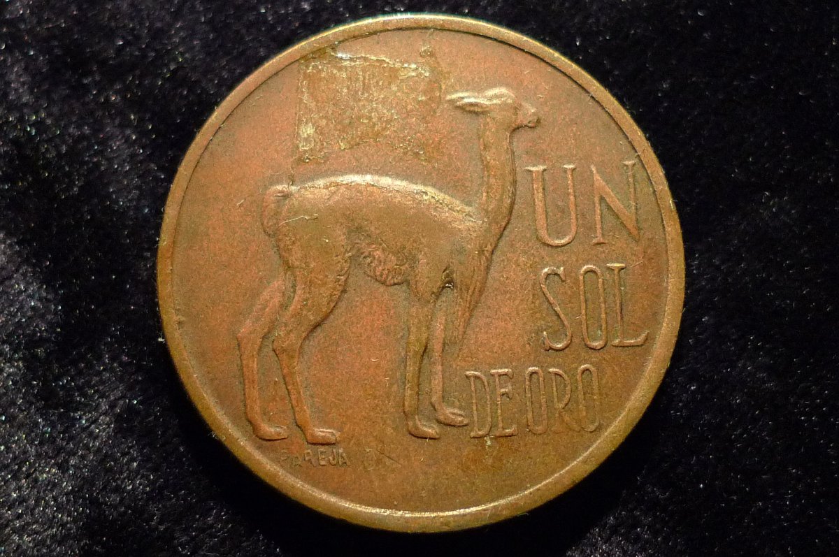 Post-Your-Coins-Representing-The-Animal-Kingdom.
