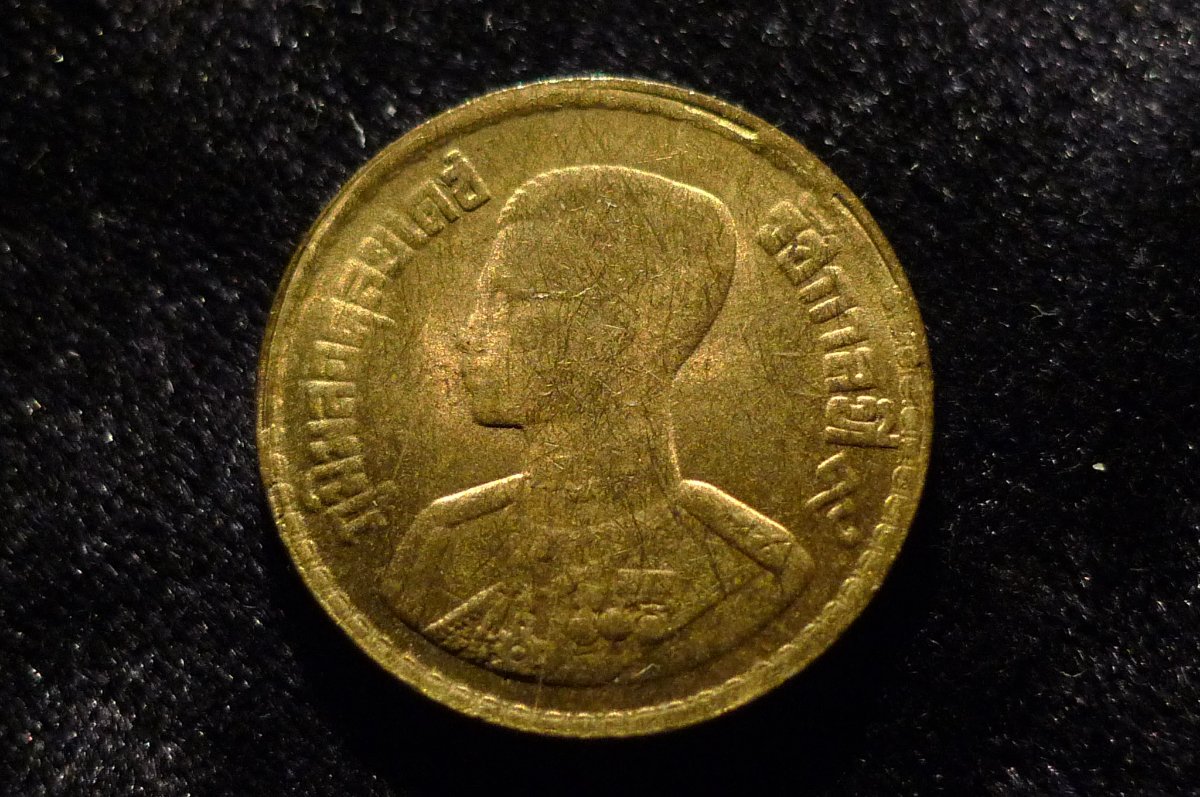 Post-Your-Coins-Representing-The-Animal-Kingdom.