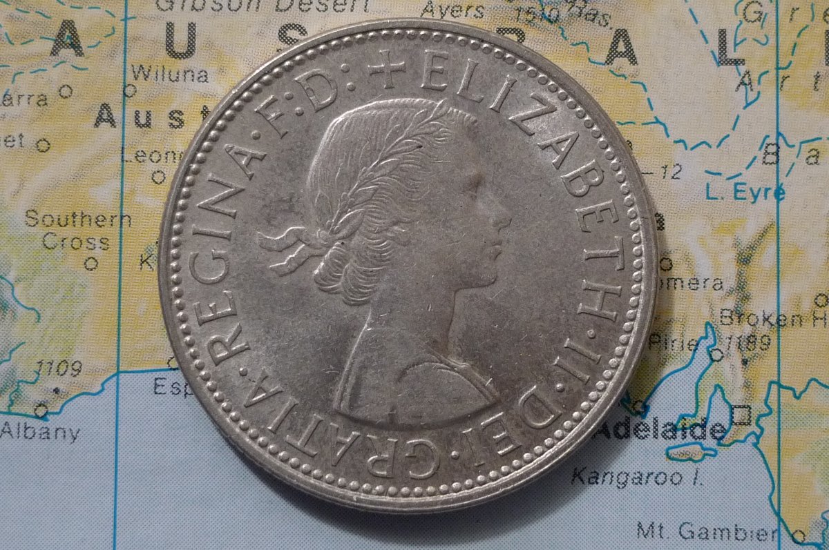 Post-Your-Coins-Representing-The-Animal-Kingdom.