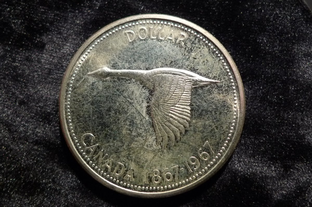 Yet-Another-Forum-Game---Numismatic-Go-Fish!