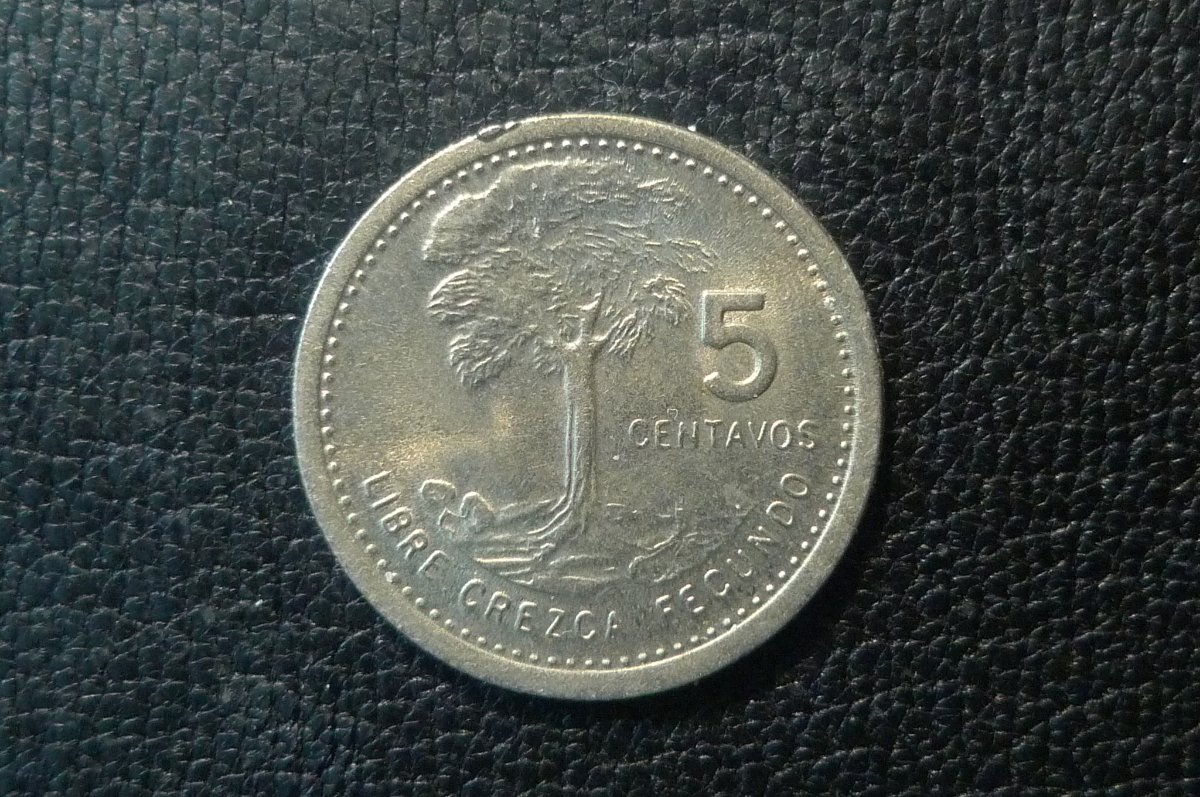 Post-Your-Coins-And-Medals-With-Trees