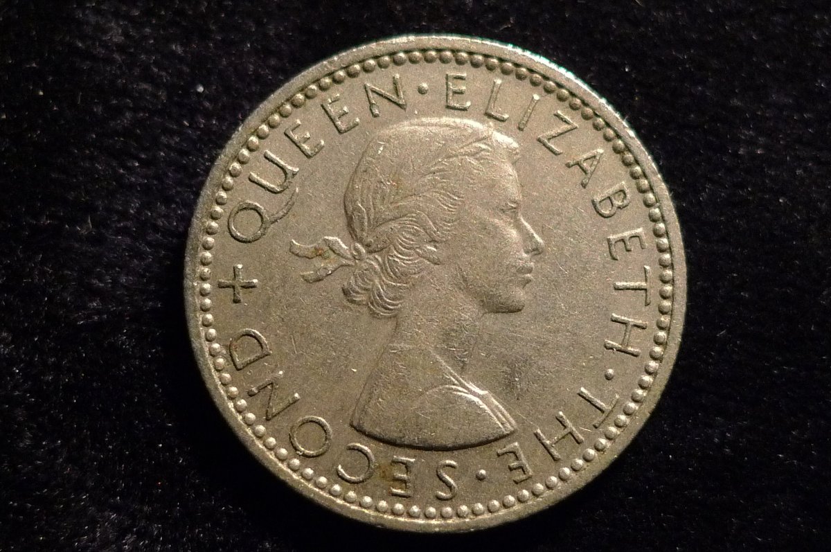 Post-Your-Coins-Representing-The-Animal-Kingdom.