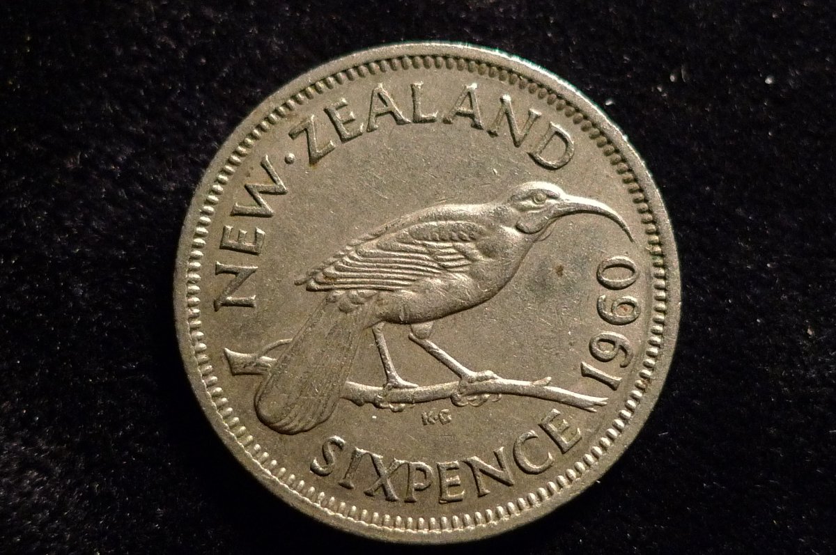 Post-Your-Coins-Representing-The-Animal-Kingdom.