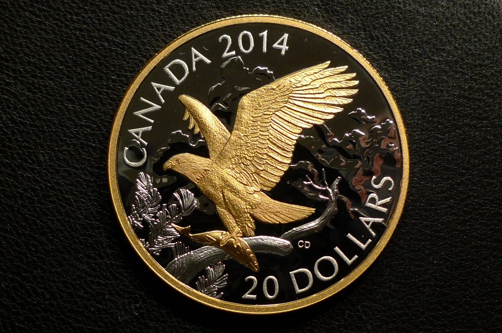 *10-Days-Of-Your-Favorite-Coin*-Is-Very-Popular-Subject.right?-Why-It-Doesn't-Last-All-Year-Long?
