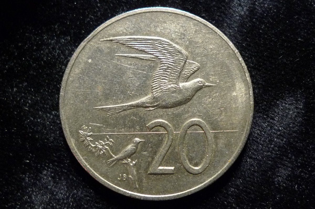 Post-Your-Coins-With-Hats