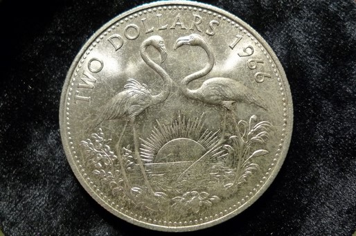 Yet-Another-Forum-Game---Numismatic-Go-Fish!