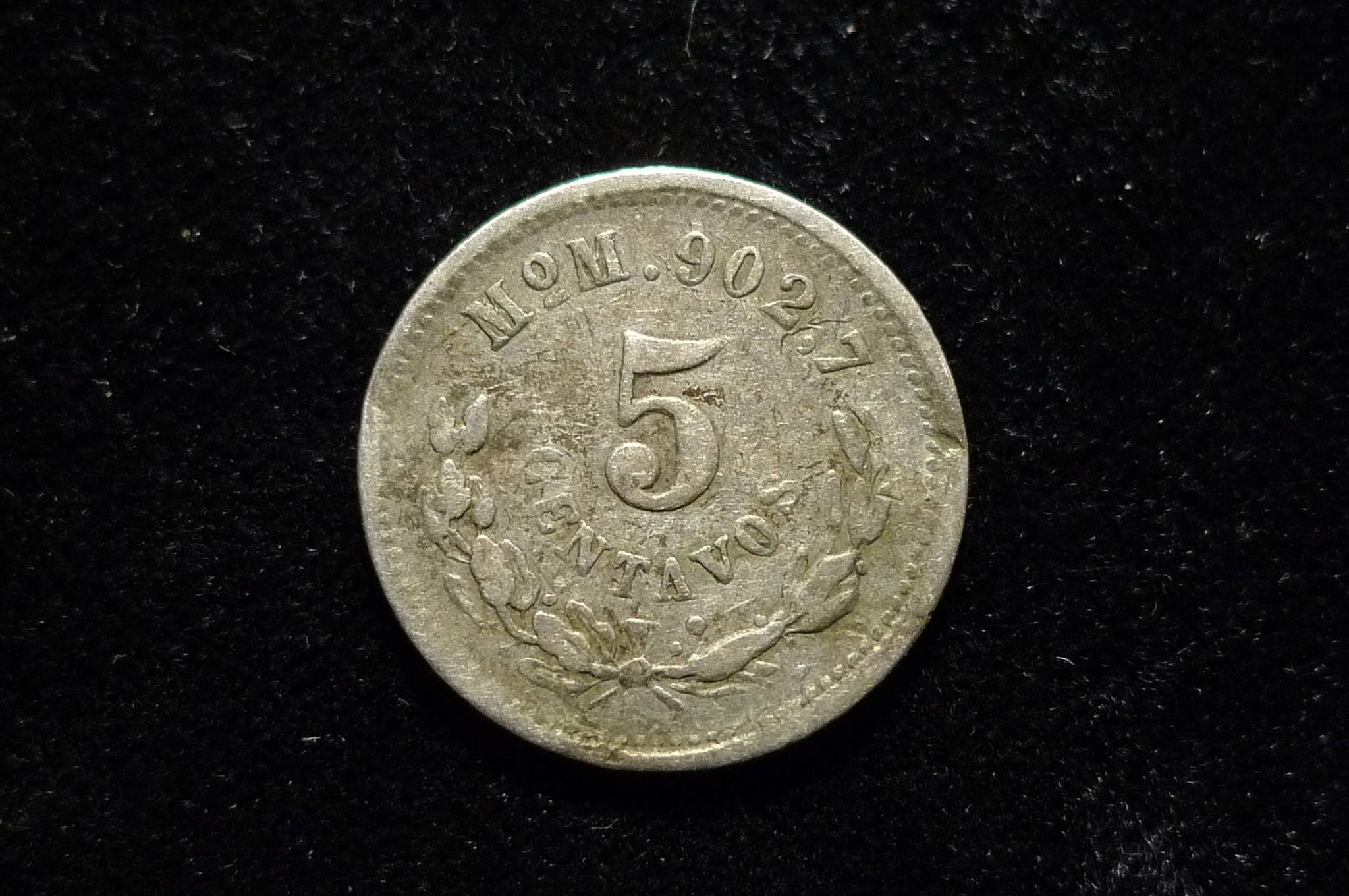 Post-Your-Coins-Representing-The-Animal-Kingdom.