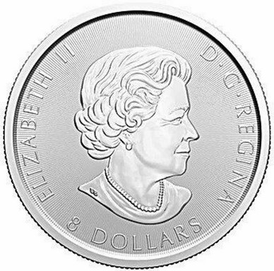 Post-Your-Coins-Representing-The-Animal-Kingdom.