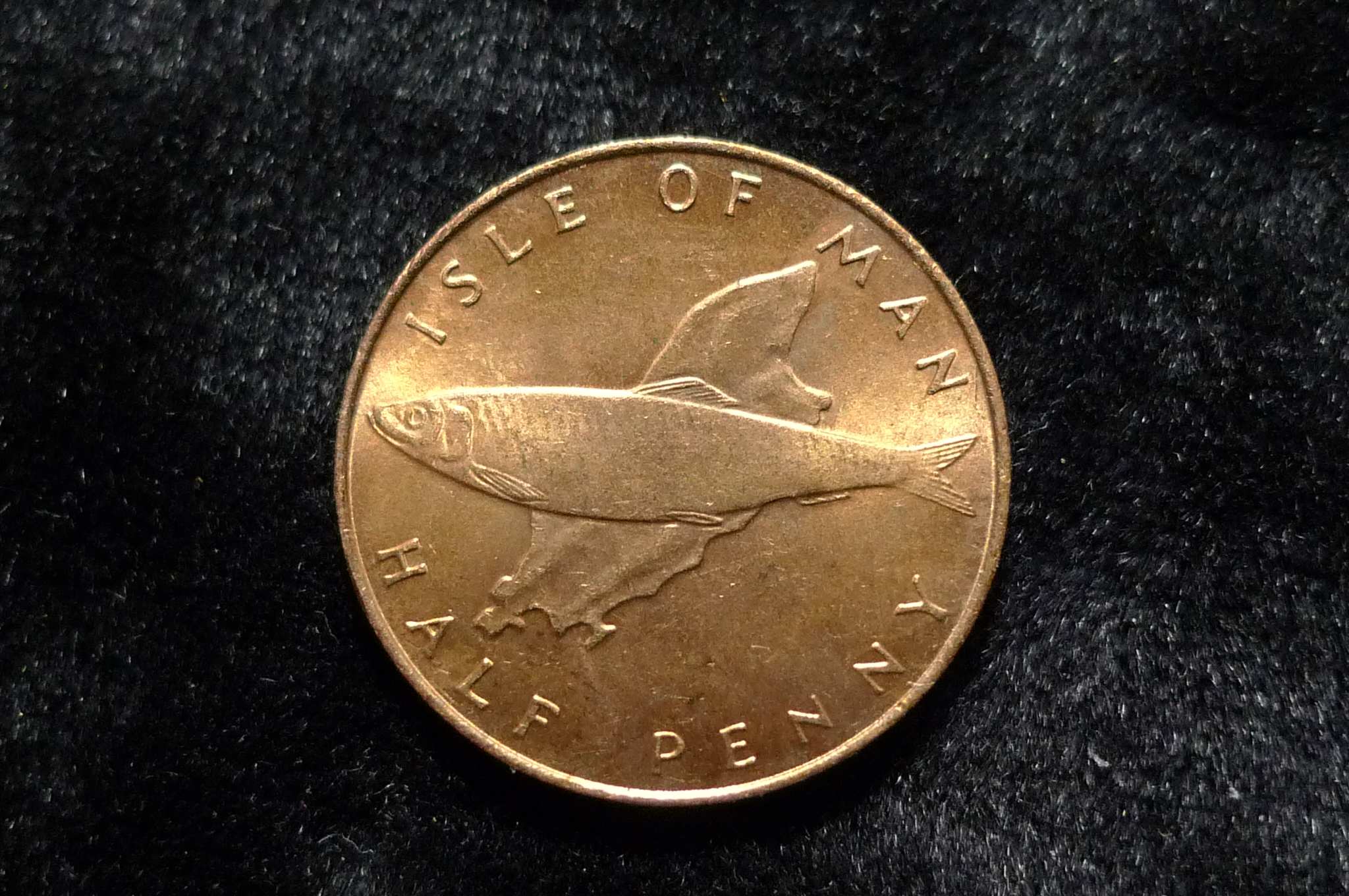 Post-Your-Coins-And-Medals-Featuring-A-Map